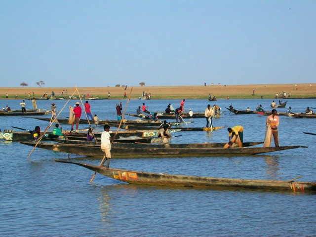 Loading Image